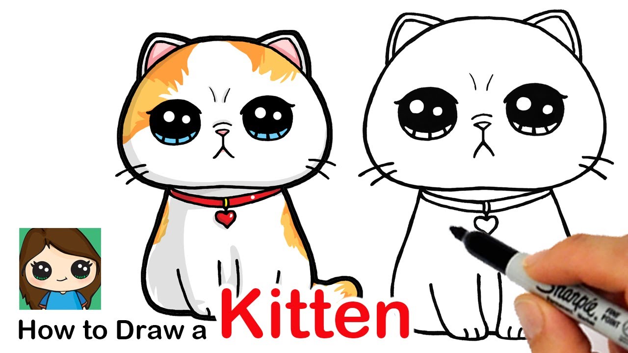 How to Draw a Kitten Easy | Exotic Shorthair Cat 