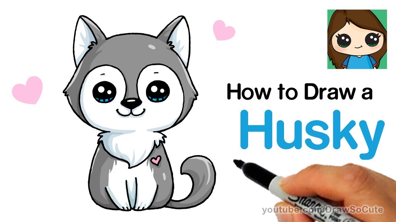 How To Draw A Husky Puppy Easy - cute husky puppy roblox