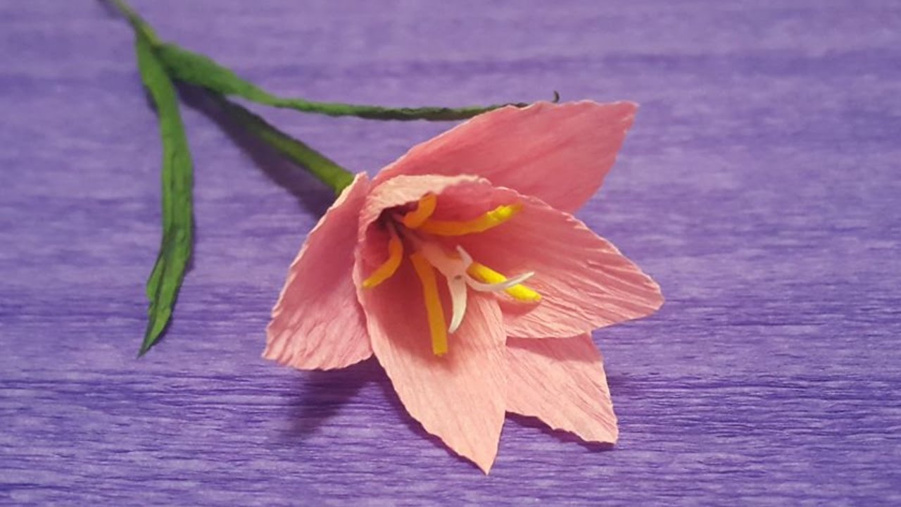 How to Make Pink Rain Lily Paper Flowers - Flower Making of Crepe Paper - Paper Flower Tutorial 