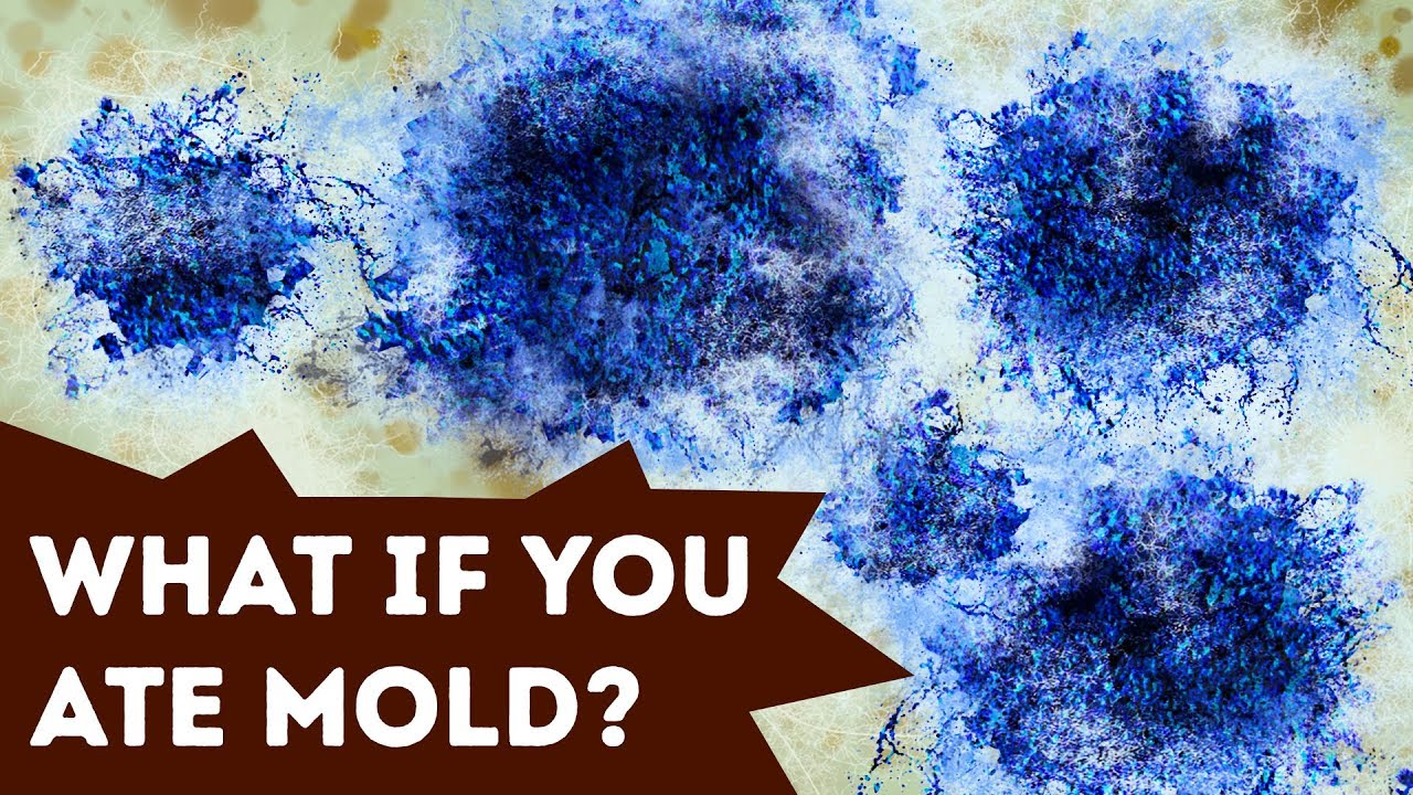 What Happens If You Eat Mold 