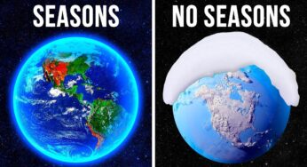 What If There Is Always One Season on Earth