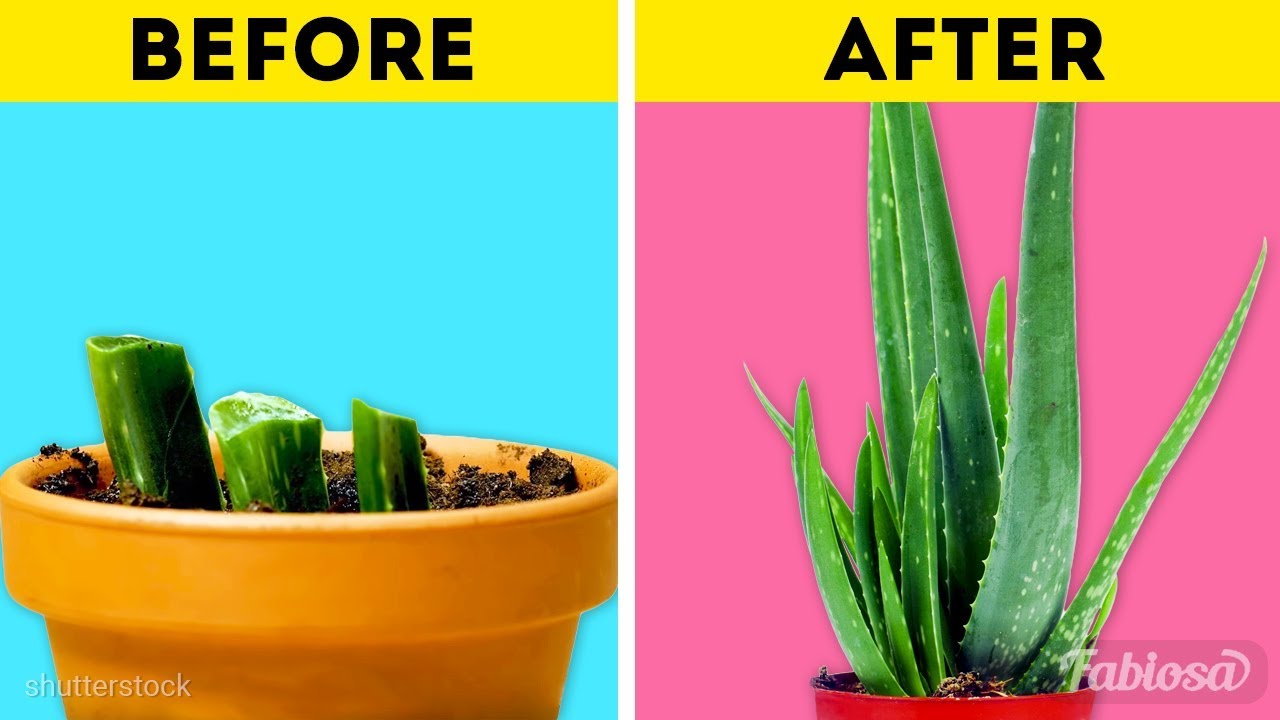 16 Minute CRAFTS! Smart and easy HACKS WITH PLANTS AND FLOWERS 