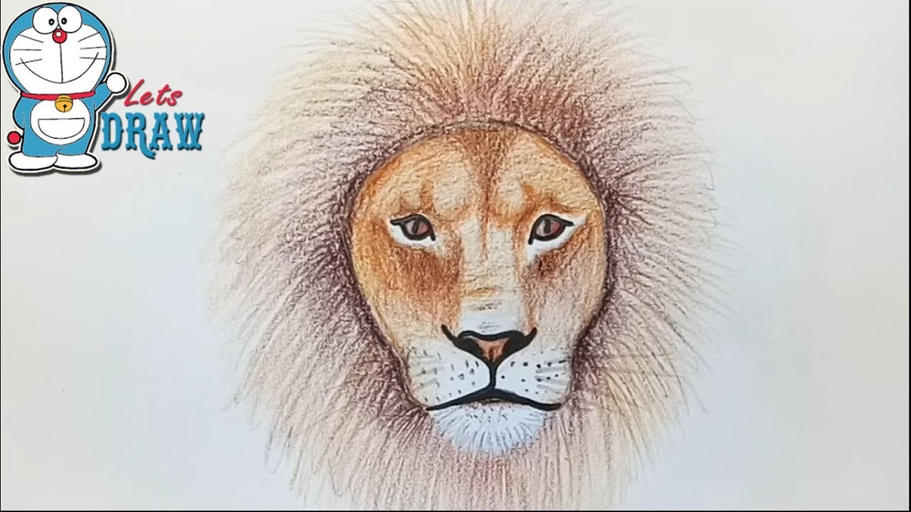 How to draw Lion face step by step 