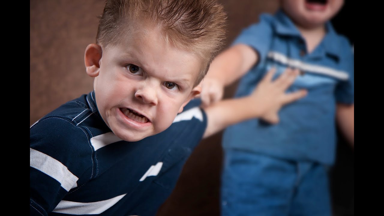 What Is Aggressive Behavior? | Child Psychology 