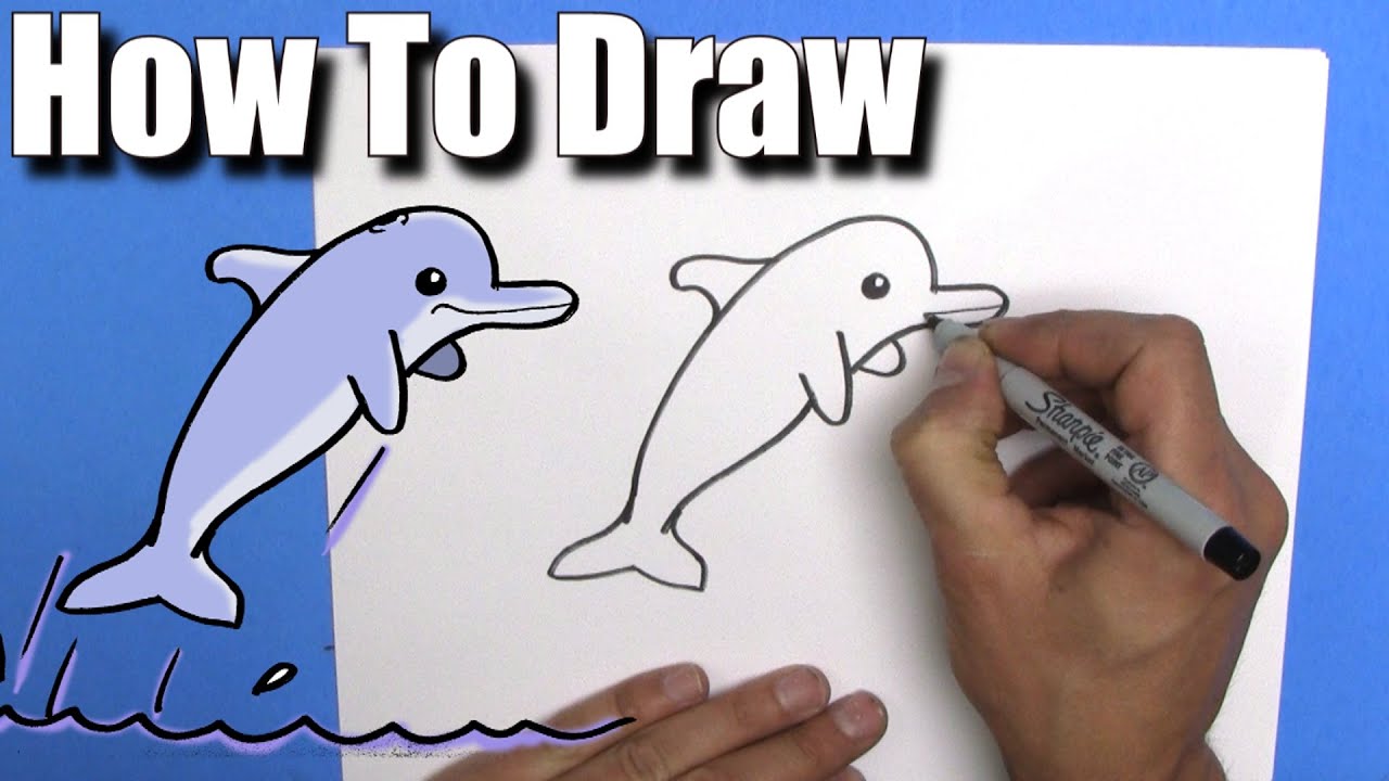 How To Draw a Dolphin- EASY- Step By Step 