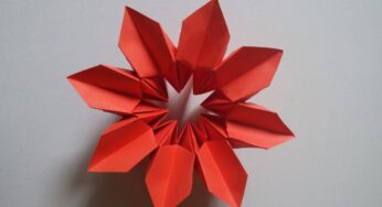 Hand Works | Origami Magical Flower | HandiWorks #9