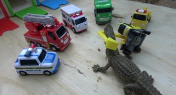 Robocar Poli & Tayo, Tayo the Little Bus Garage Station Attack CROCODILE toys play