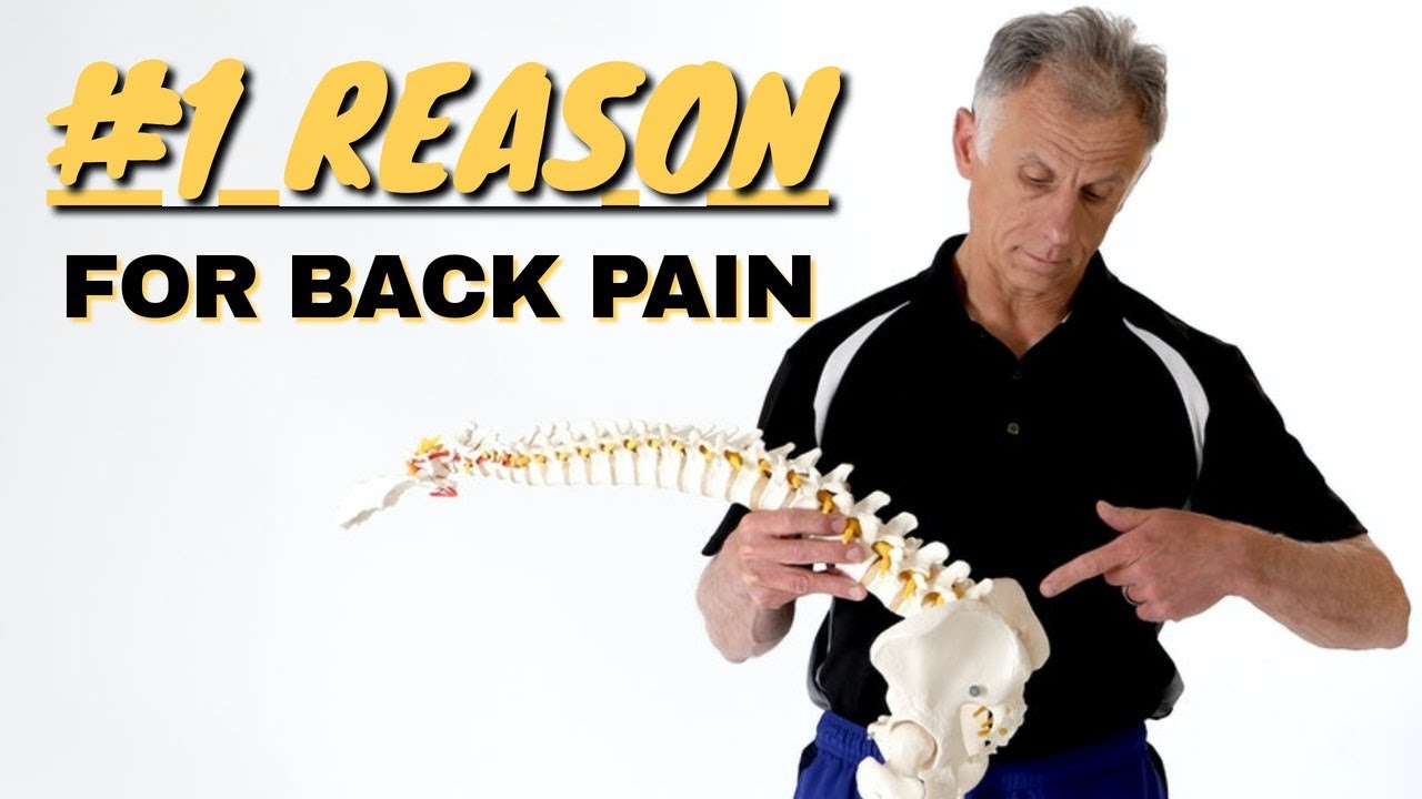 The #1 Reason You Are Having Back Pain With Working Out. How to Stop 