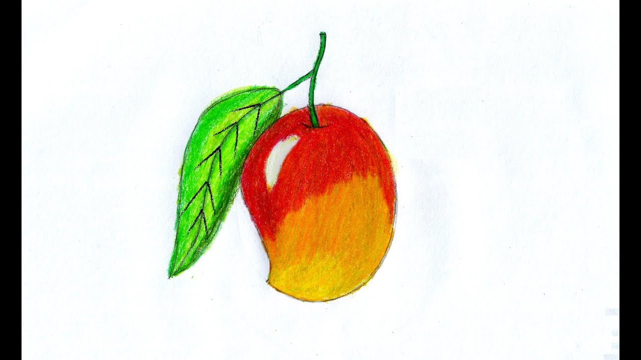 How to Draw a Mango for Kids step by step for Kids 