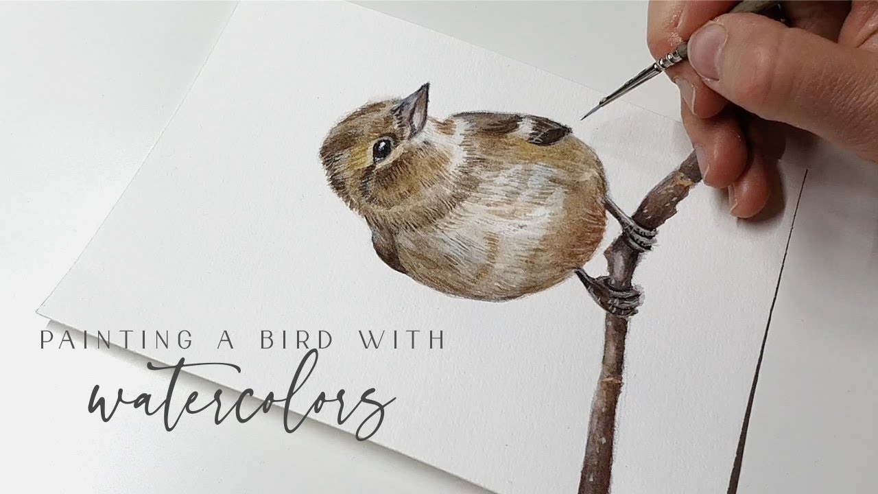 Drawing and Painting a Bird with Watercolors 