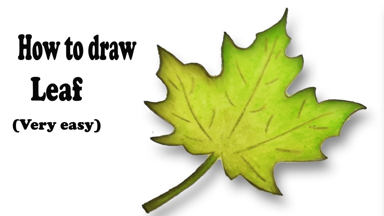 How to draw Leaf.Step by step easy draw 