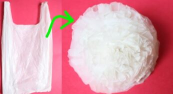 Reuse Idea with Carry Bags | Making Flowers| Best out of waste | Recycle Polythene