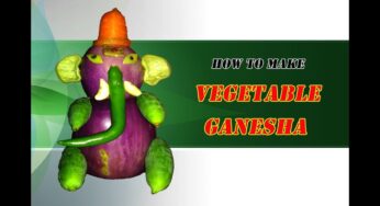 How to Make Ganesha with Vegetables | DIY Eco-Friendly Ganesha By HPR Media