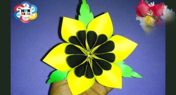 Paper Craft Idea’s | Easy Way of Paper Flower Making Video By HPR Media