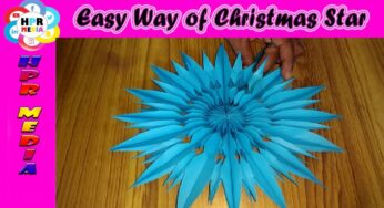 Awesome Christmas star! Easy and Beautiful Christmas Star Making Video! HPR Media