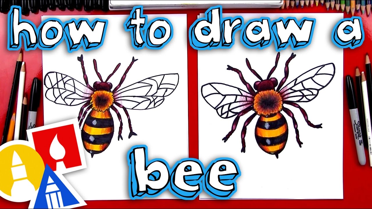 How To Draw A Realistic Bee 