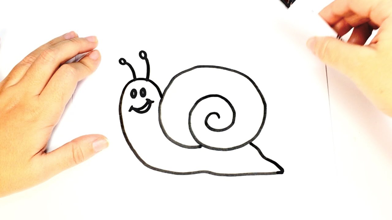 How to Draw a Snail for Kids | Snail Drawing tutorial 