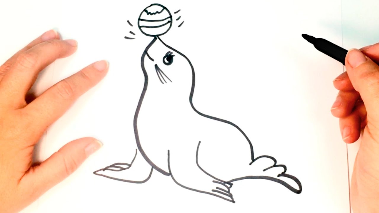 How to draw a Seal for kids | Seal Drawing Lesson Step by Step 