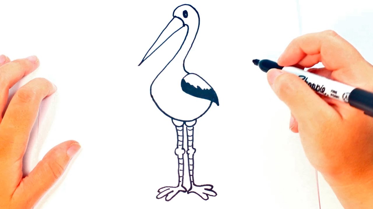 How to draw a Stork for kids | Stork Drawing Lesson Step by Step