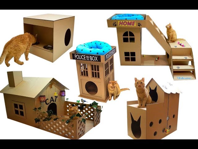 TOP 5 BEST house for a cat out of cardboard 1