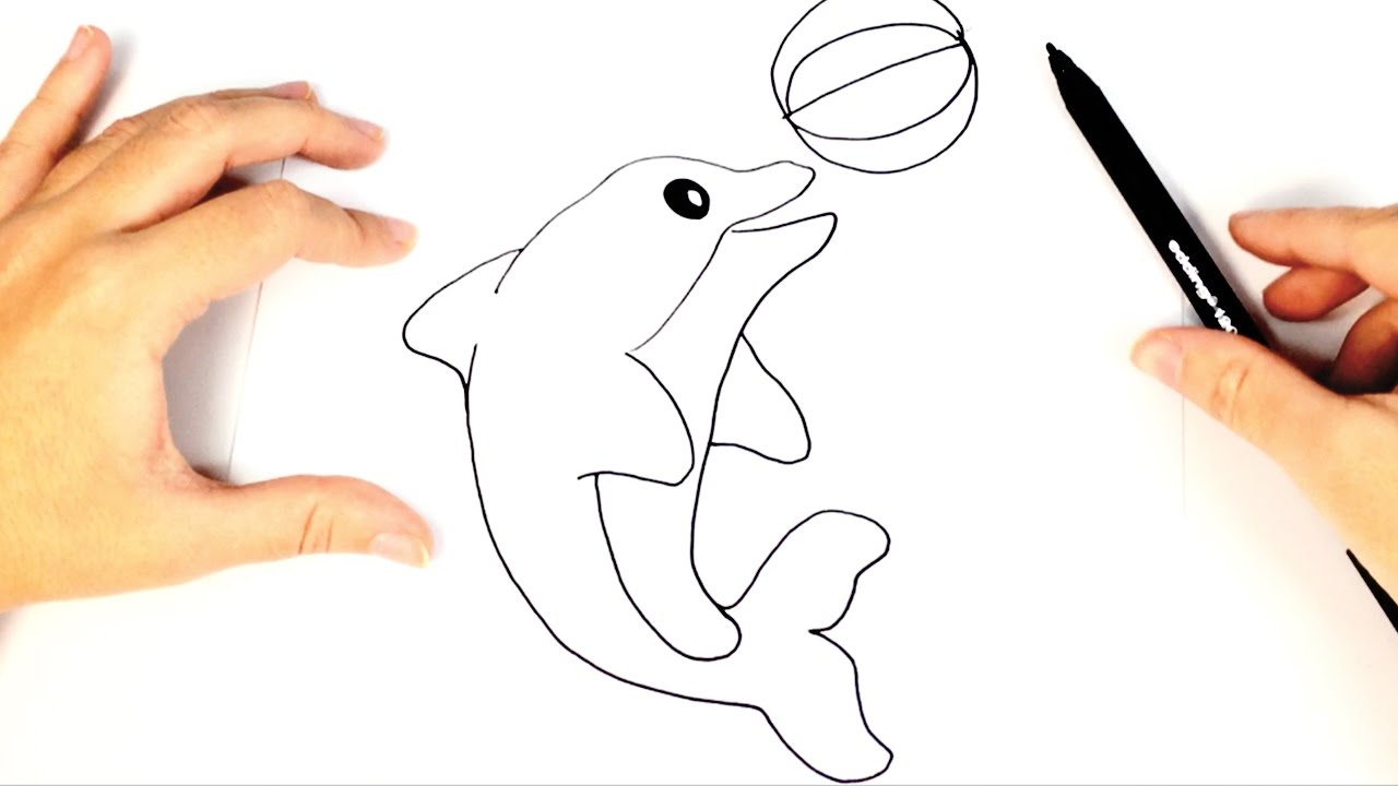 How to draw a Dolphin for Kids | Dolphin Drawing Lesson Step by Step 