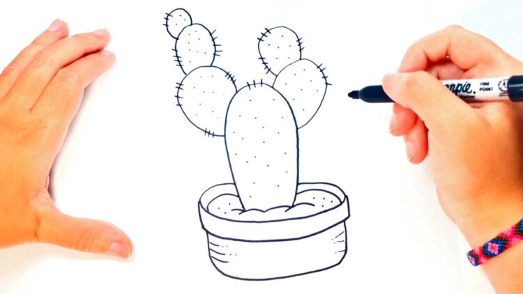 How To Draw A Cactus For Kids Cactus Easy Draw Tutorial - roblox tutorial working cactus youtube roblox tutorial cactus