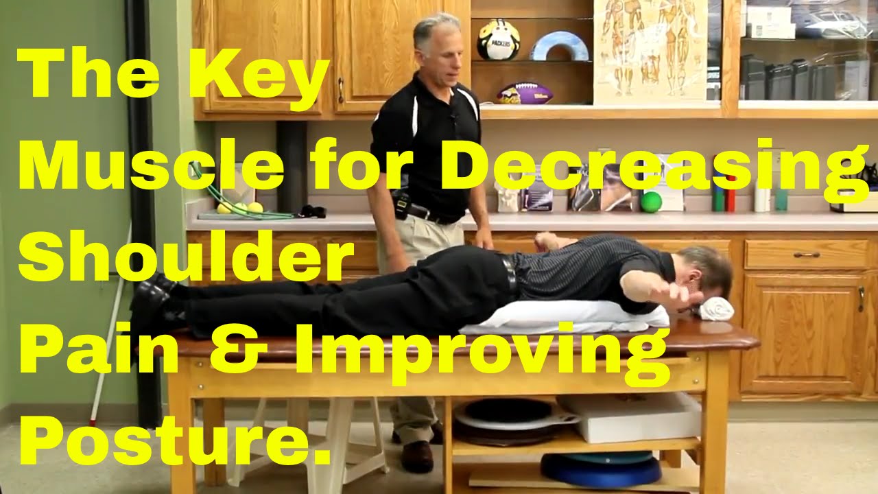 The Key Muscle for Decreasing Shoulder Pain & Improving Posture of the Shoulder. 