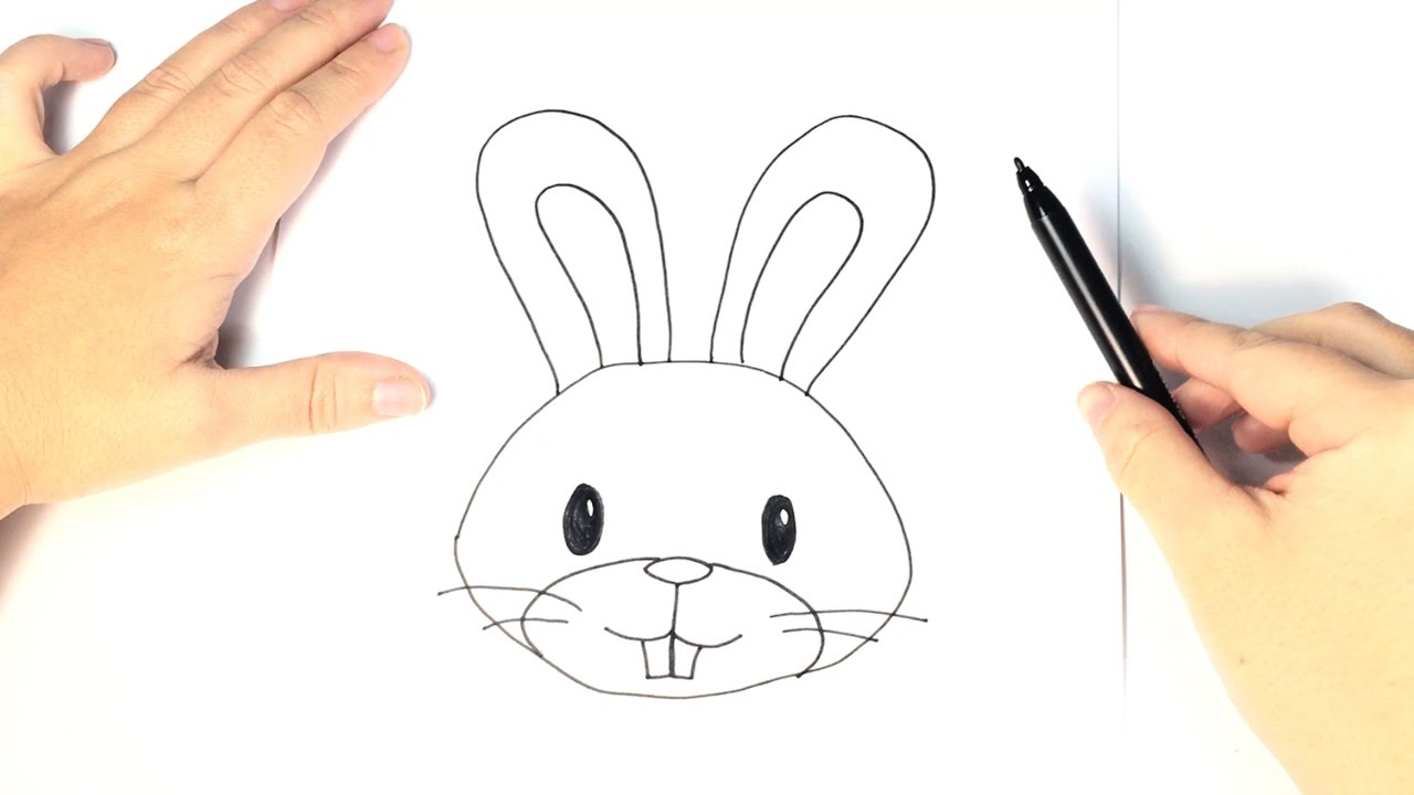 How to draw a Rabbit for Kids 