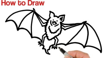 How to Draw a Bat ? SUPER EASY