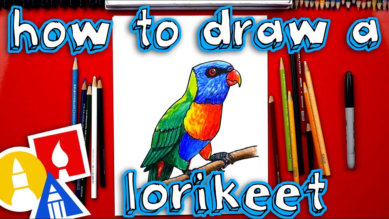 How To Draw A Realistic Rainbow Lorikeet 