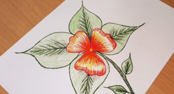 Adım Adım ÇİÇEK Çizimi / Step by Step / How to draw flowers