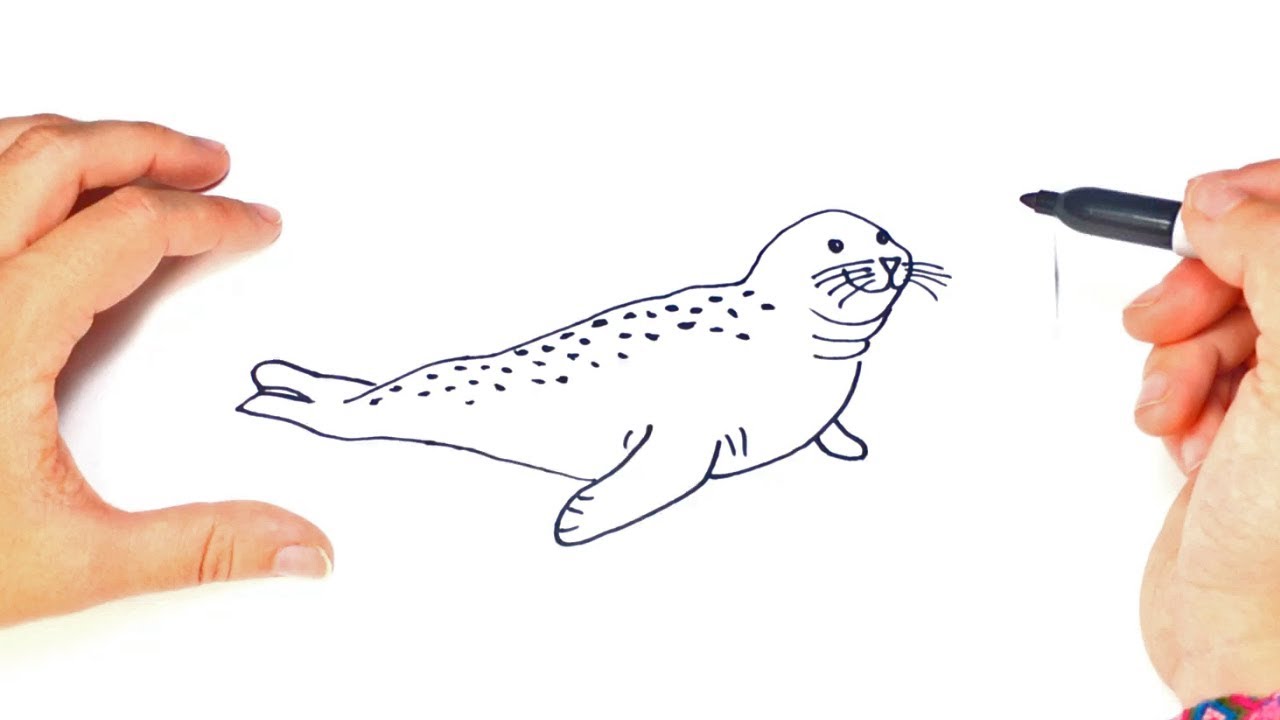How to draw a Seal | Seal Easy Draw Tutorial 