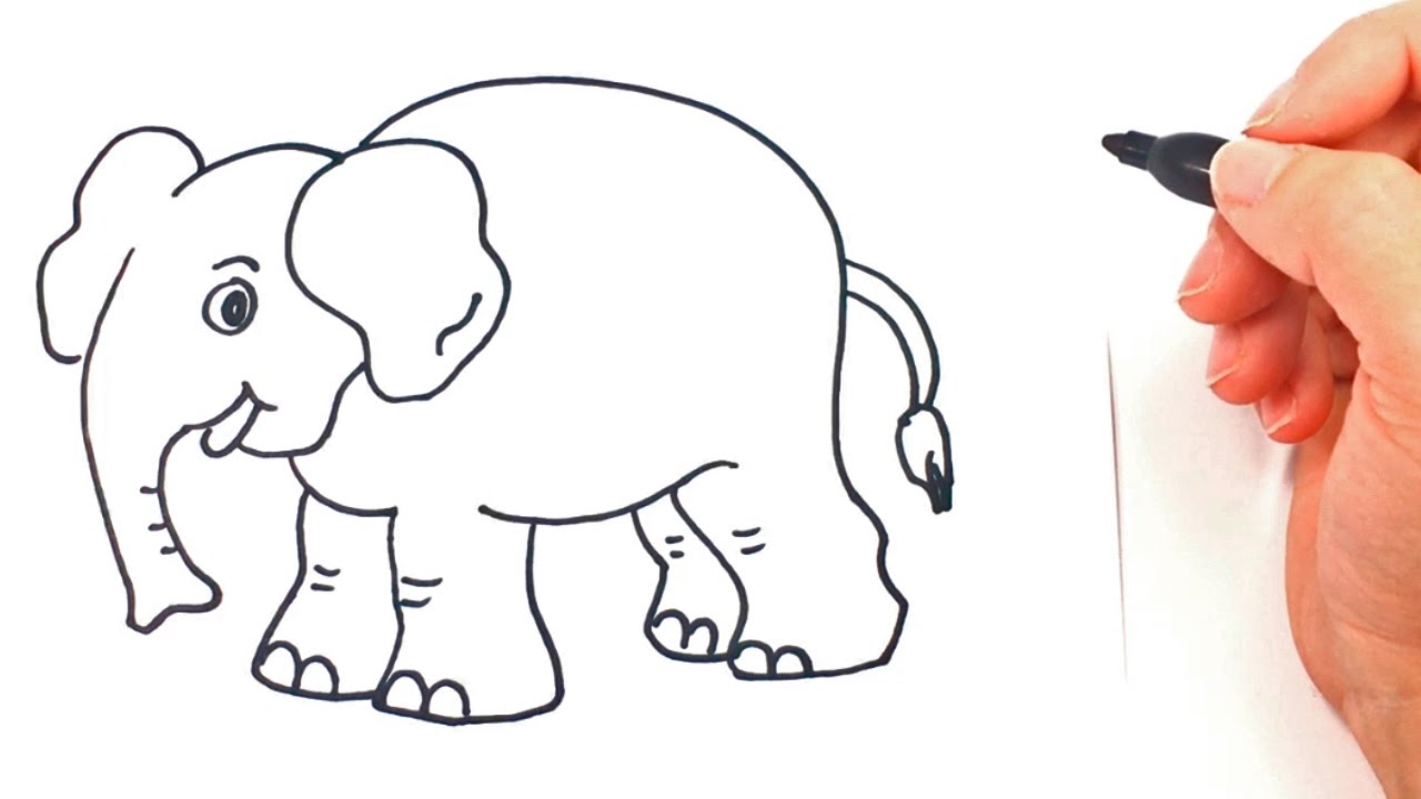 How to draw a Elephant | Elephant Drawing Lesson 