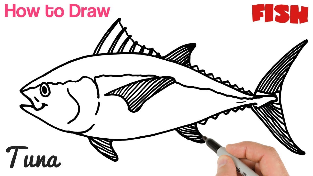 How to Draw Tuna Fish Easy for Beginners | Art Tutorial