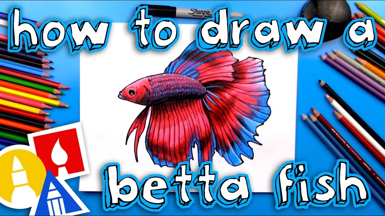 How To Draw A Realistic Betta Fish (Siamese Fighting Fish) 