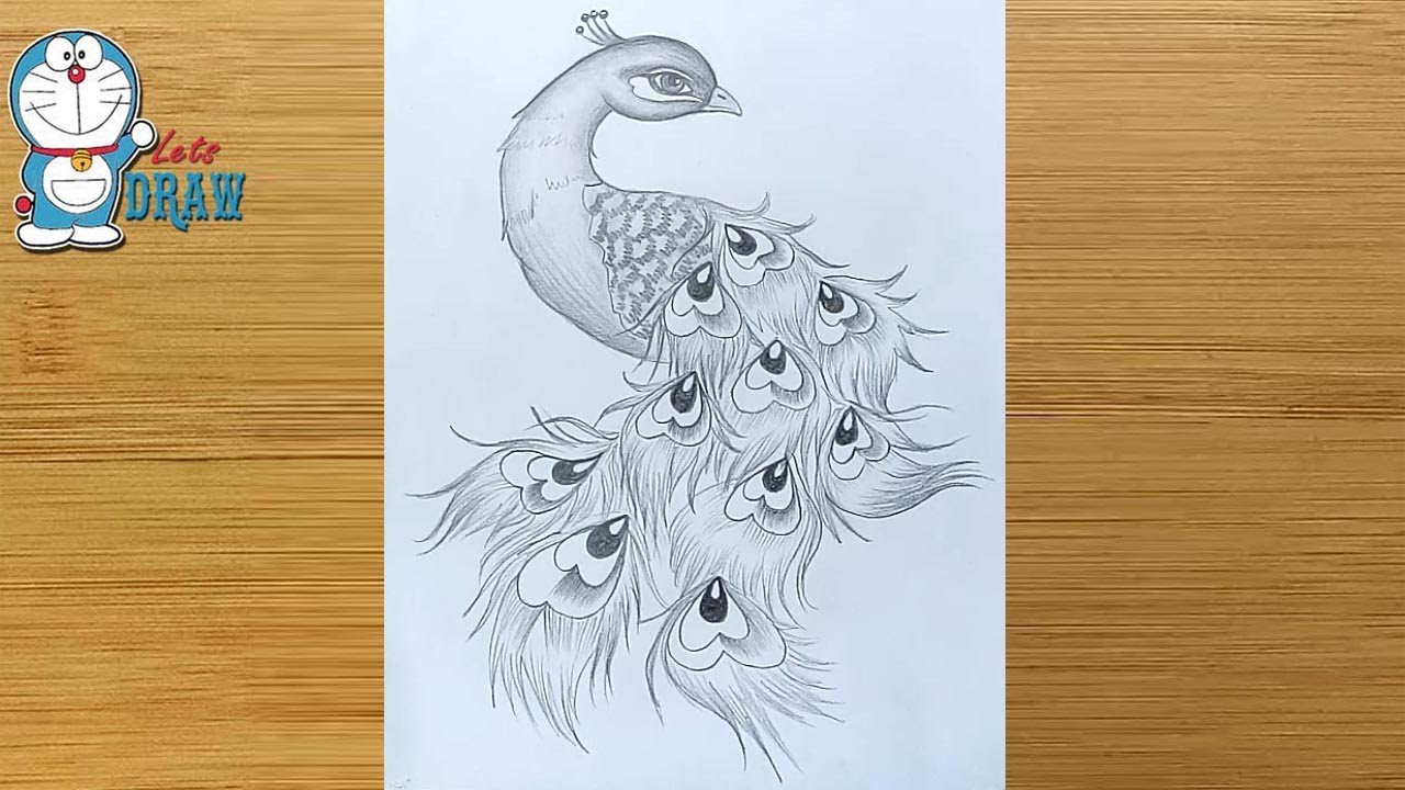 How to draw a Peacock - in easy steps || Pencil Art || Pencil Sketch - step by step 