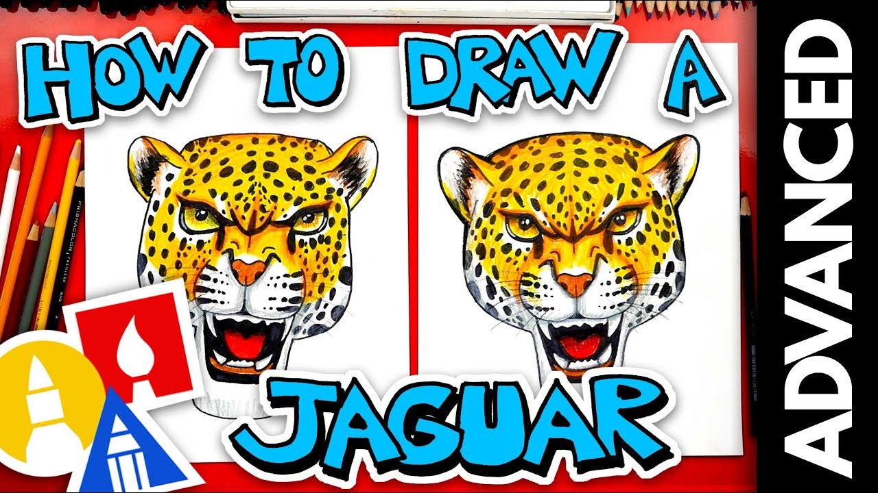 How To Draw A Realistic Jaguar - Advanced - #stayhome and draw #withme 