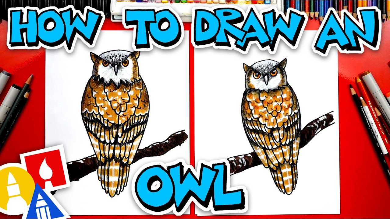 How To Draw A Realistic Owl - cool ftp roblox shirt ids