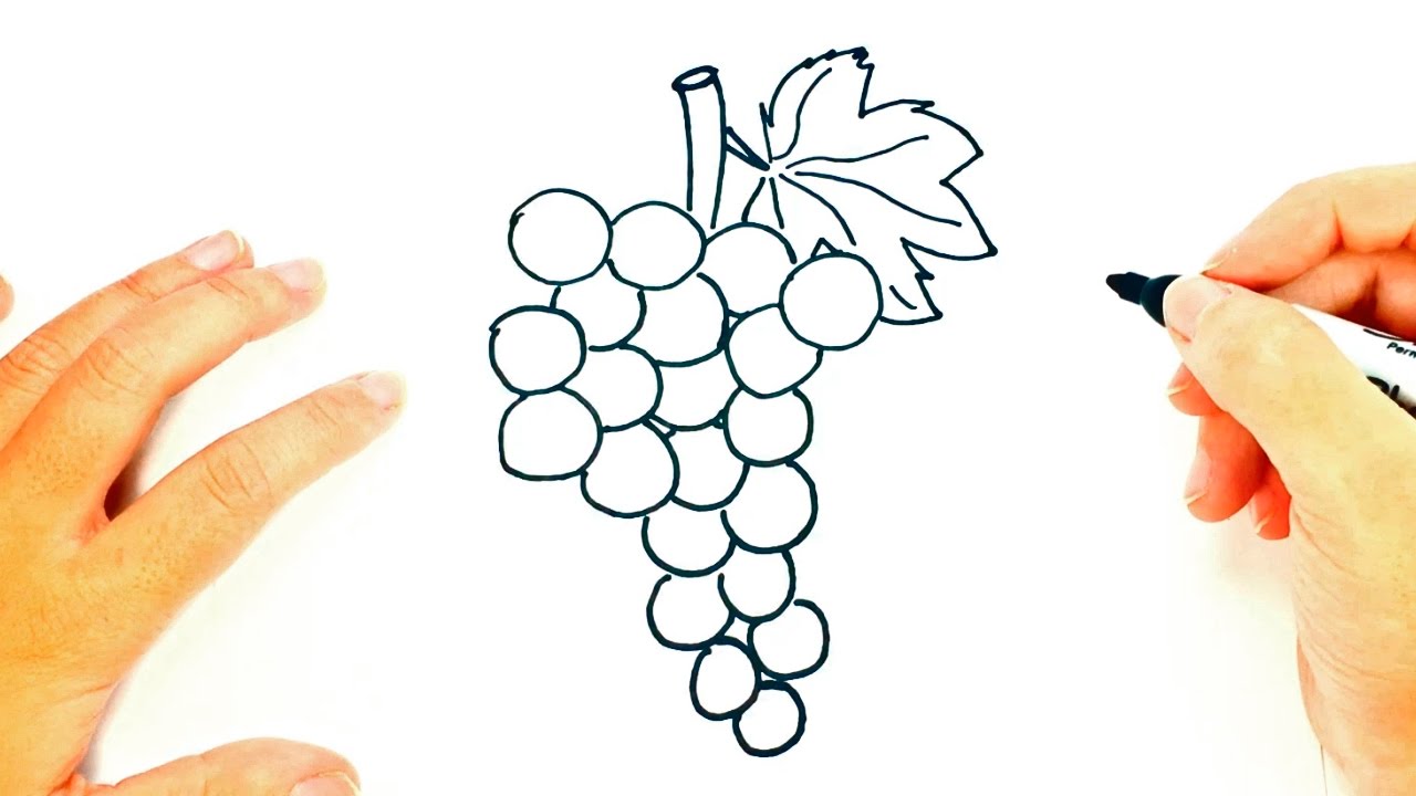 How to draw Grapes | Grapes Easy Draw Tutorial 