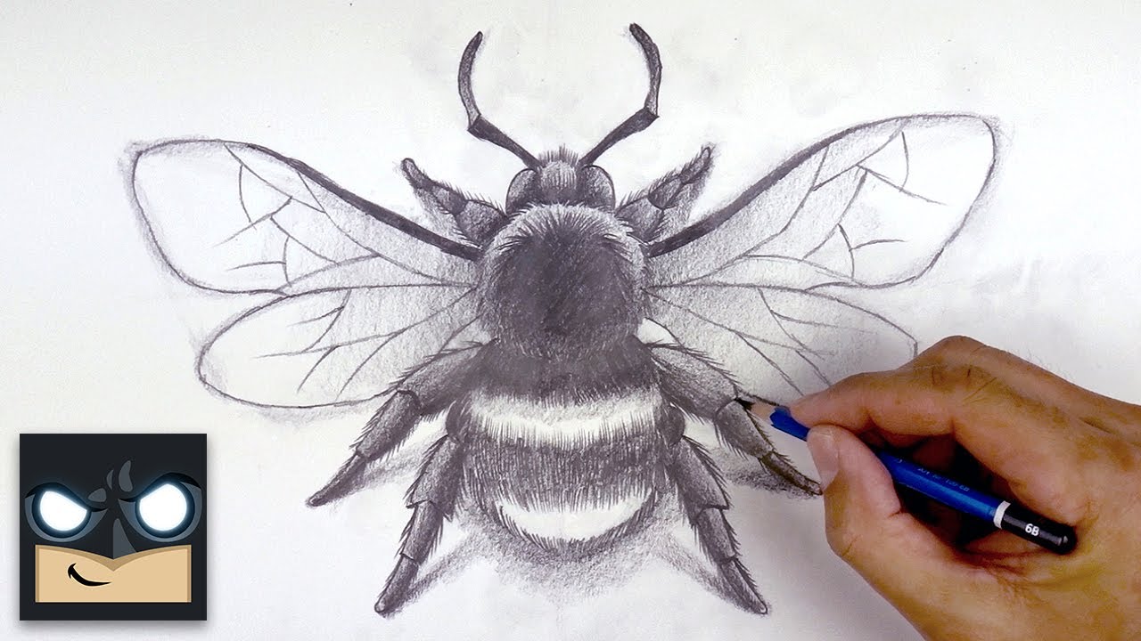How To Draw a Bumble Bee | Sketch Sunday (Step by Step) 