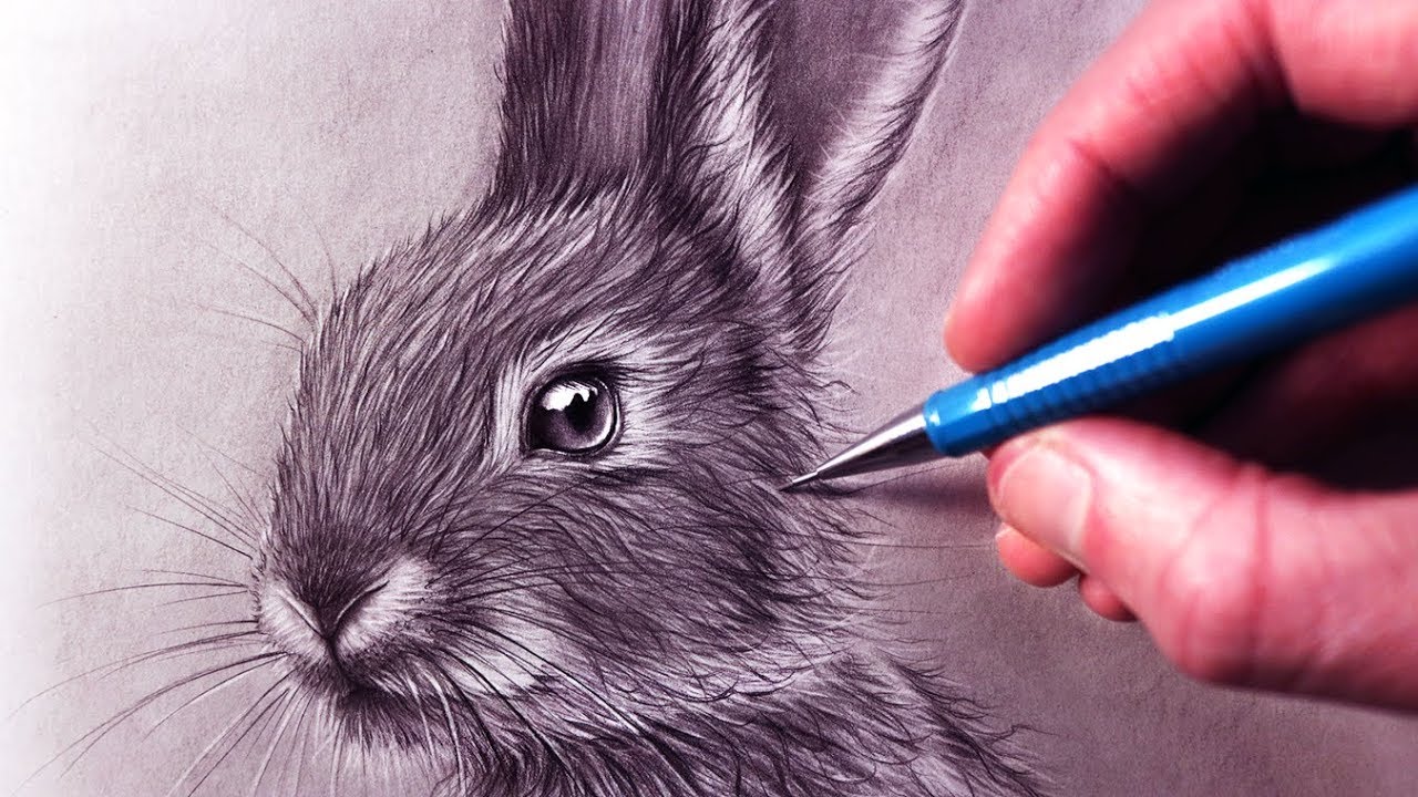 How to Draw a Rabbit 