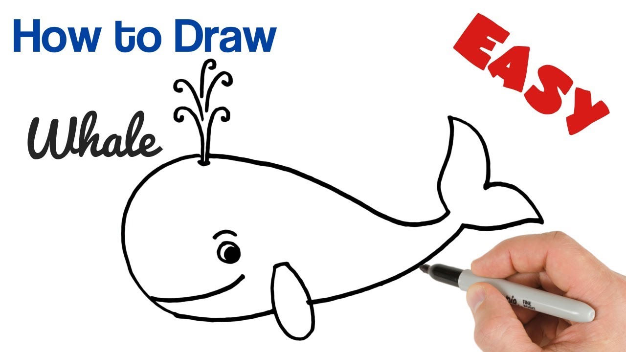 How to Draw a Whale fo Kids Easy and Cartoon 