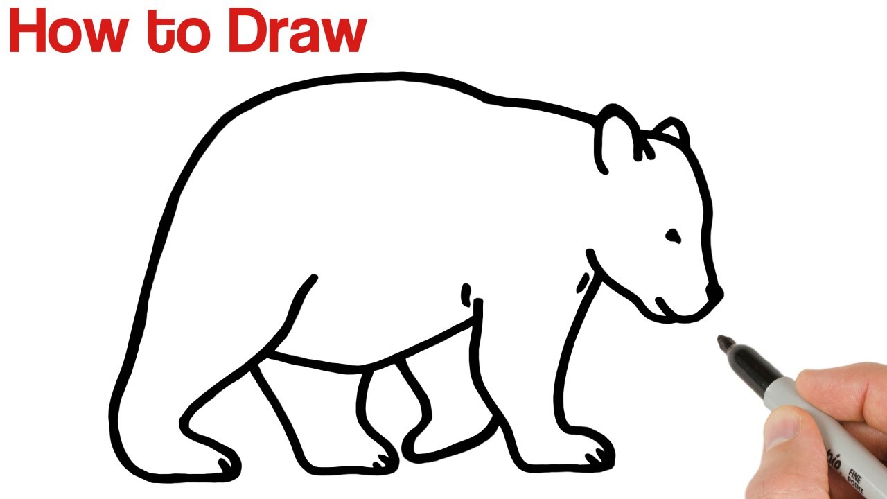 Simple Bear Drawing