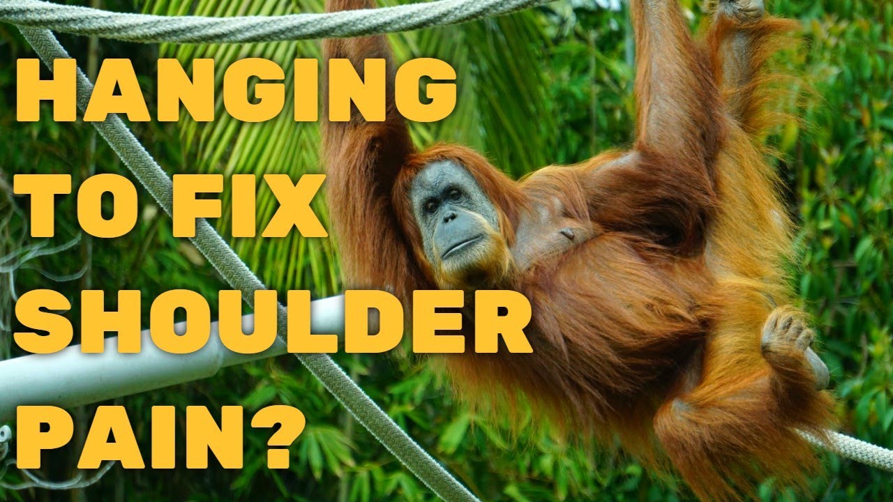 Will Hanging Like An Ape Help Your Awful Shoulder Pain? 25 True Believers 