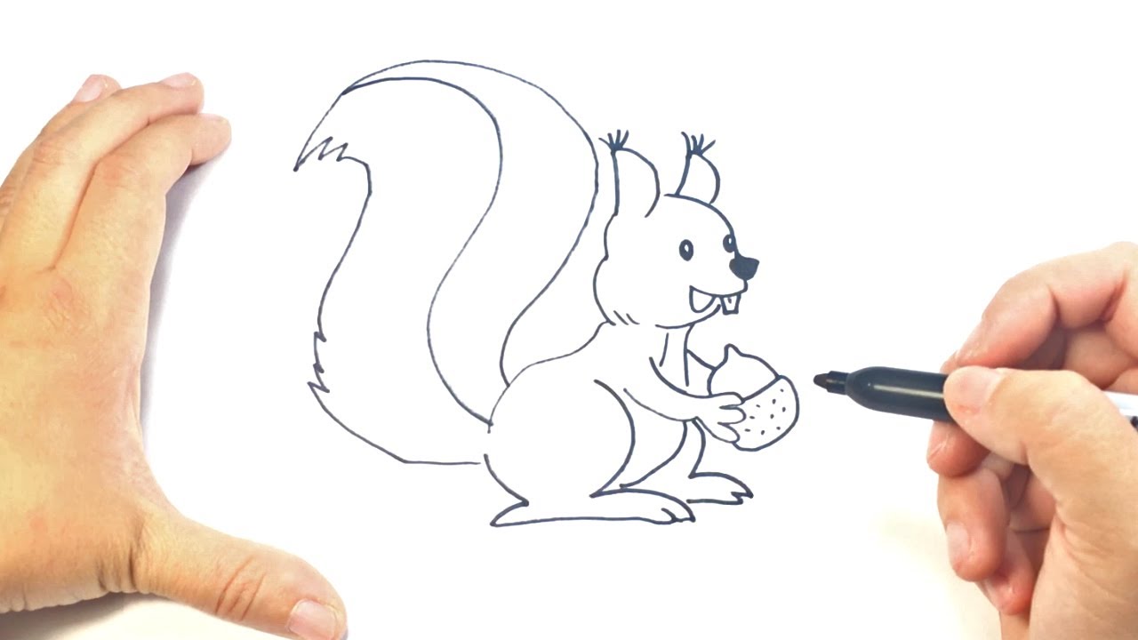 How to draw a Chipmunk Step by Step | Chipmunk Drawing Lesson 