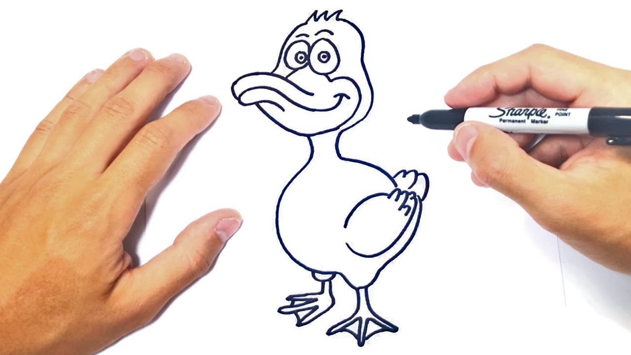 Cómo dibujar un Pato Paso a Paso | Dibujo de Pato 