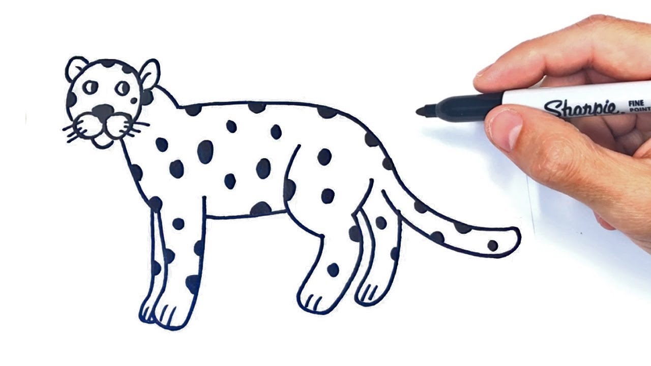 Dibujar un leopardo