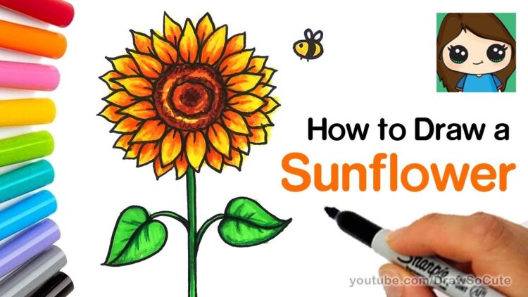 How To Draw A Sunflower Easy Realistic - sunflower roblox id 2020