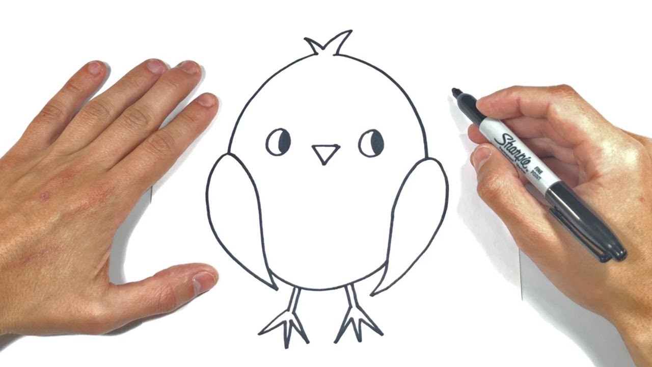 Cómo dibujar un Pollito Paso a Paso | Dibujo de Pollito 