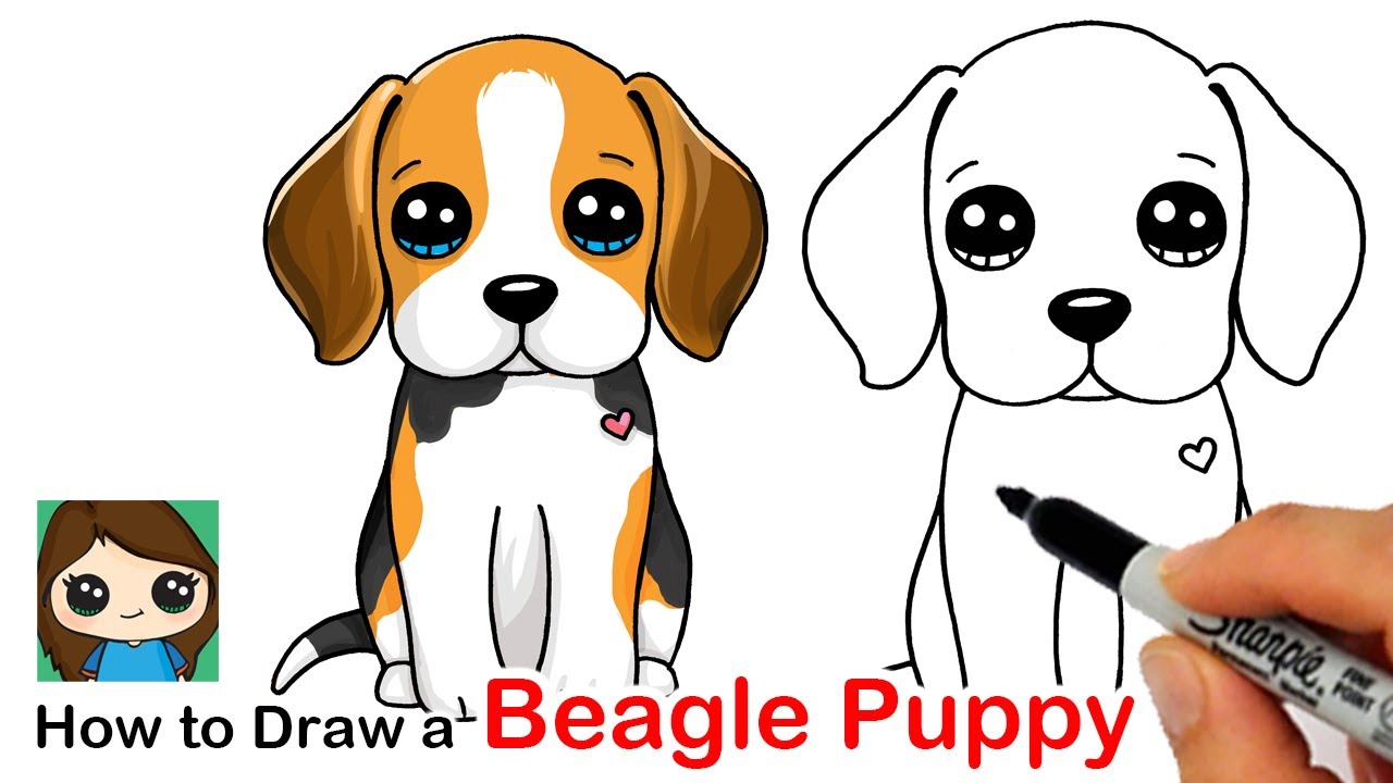 How to Draw a Beagle Puppy Dog Easy 